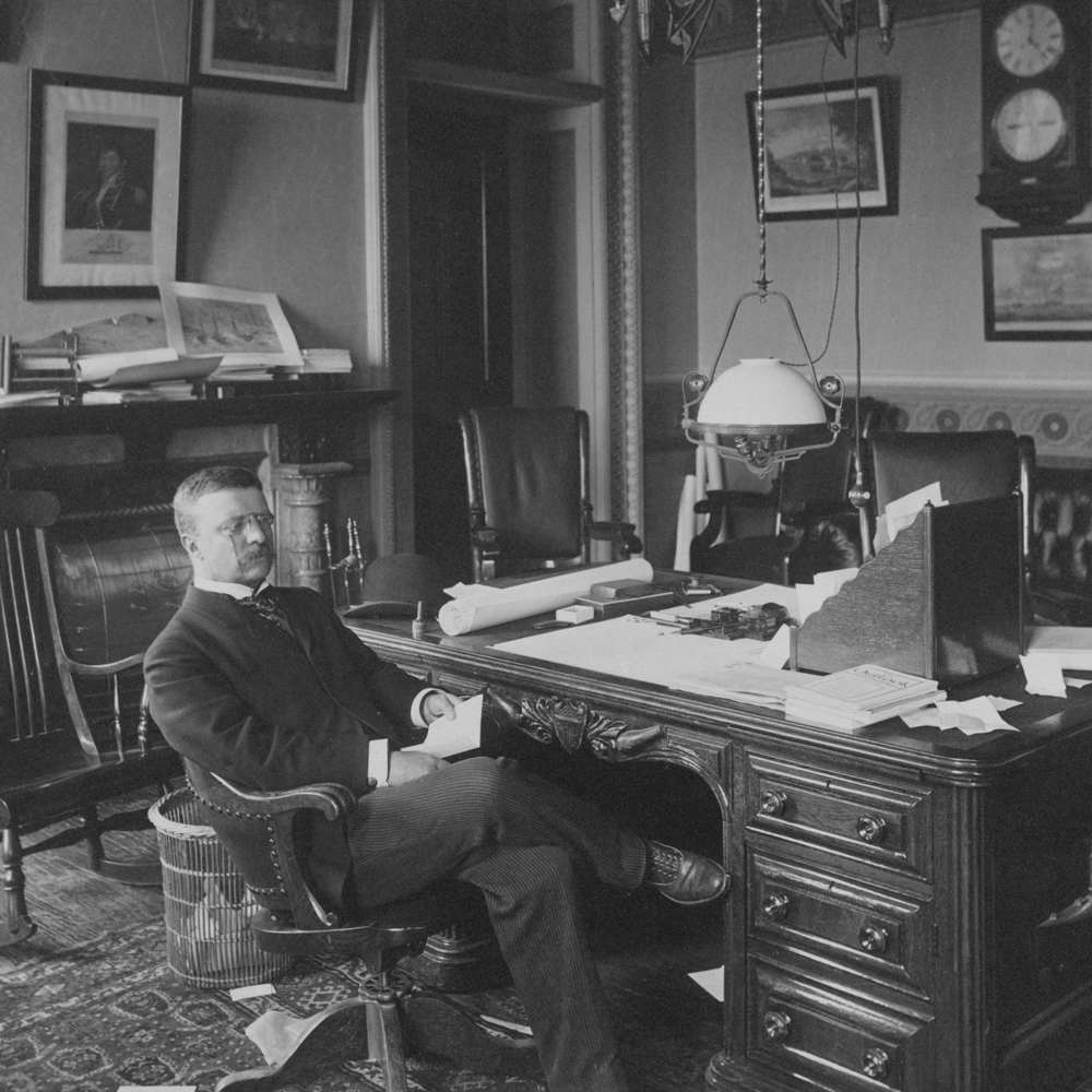 Theodore Roosevelt as President