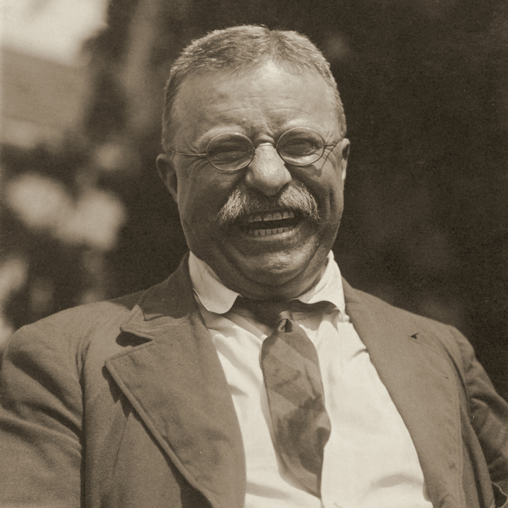 Theodore Roosevelt Post-Presidency