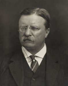 Pach Brothers (Firm), photographer - Theodore Roosevelt, 1913