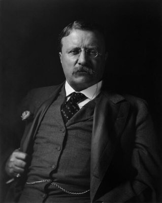 Harris & Ewing, photographer - Theodore Roosevelt portrait, 1907